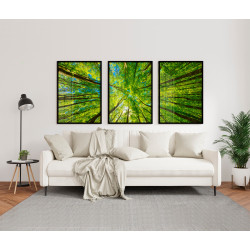 "Trio árvores na floresta" Conjunto de quadros...