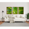 "Trio árvores na floresta" Conjunto de quadros decorativos