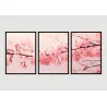 "Trio árvore cerejeira" Conjunto de quadros decorativos