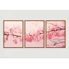 "Trio árvore cerejeira" Conjunto de quadros decorativos