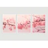"Trio árvore cerejeira" Conjunto de quadros decorativos