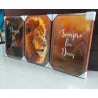 "Nunca foi sorte, sempre foi Deus tons naturais" Conjunto de quadros decorativos