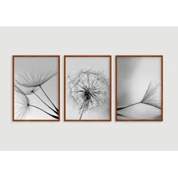 "Trio dente de leão preto e branco" Conjunto de quadros decorativos