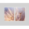 "Dente de leão dupla II" Conjunto de quadros decorativos