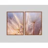 "Dente de leão dupla II" Conjunto de quadros decorativos