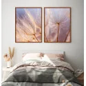 "Dente de leão dupla II" Conjunto de quadros decorativos