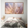 "Dente de leão dupla II" Conjunto de quadros decorativos