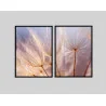 "Dente de leão dupla II" Conjunto de quadros decorativos