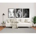 "Leão de Judá e Jesus PB" Conjunto de quadros decorativos