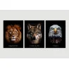 "Leão, lobo e águia" Conjunto de quadros decorativos