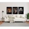 "Leão, lobo e águia" Conjunto de quadros decorativos