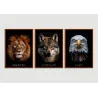 "Leão, lobo e águia" Conjunto de quadros decorativos