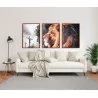 "Leão de Judá e Jesus" Conjunto de quadros decorativos