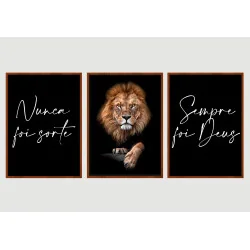 “Nunca foi sorte, sempre foi Deus II" Conjunto de quadros decorativos