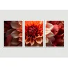 "Trio floral vermelho" Conjunto de quadros decorativos
