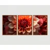 "Trio floral vermelho" Conjunto de quadros decorativos