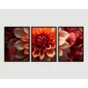 "Trio floral vermelho" Conjunto de quadros decorativos