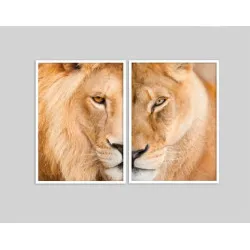 "Casal de leões" Quadros decorativos