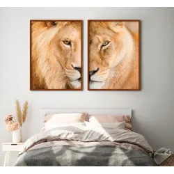 "Casal de leões" Quadros...