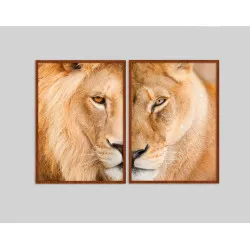 "Casal de leões" Quadros decorativos