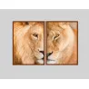 "Casal de leões" Quadros decorativos
