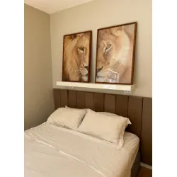 "Casal de leões" Quadros decorativos