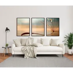 "Trio dente de leão com gotas de orvalho" Conjunto de quadros decorativos