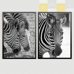 "Zebras II" Conjunto de quadros decorativos