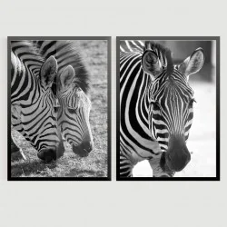 "Zebras II" Conjunto de quadros decorativos