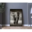 "Elefante" Quadro de decoração
