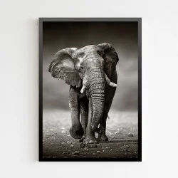 "Elefante" Quadro de decoração