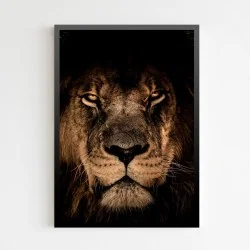 "Leão preto" Quadro de decoração