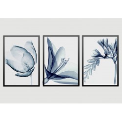 "Flores Transparentes - Azul" Conjunto de quadros decorativos
