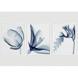"Flores Transparentes - Azul" Conjunto de quadros decorativos
