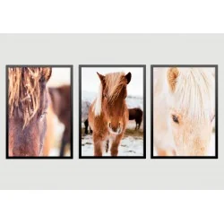 "Trio Cavalos" Conjunto de quadros decorativos