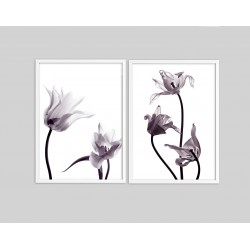 "Flores raio x" Conjunto de quadros decorativos