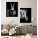 "Dupla Zebras" Conjunto de quadros decorativos