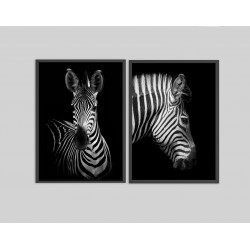 "Dupla Zebras" Conjunto de quadros decorativos