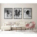 "Trio de Cavalos" Conjunto de quadros decorativos