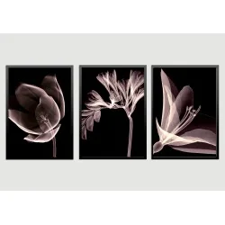 "Flores fundo preto" Conjunto de quadros decorativos