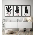 "Trio cactos nórdico" Conjunto de quadros decorativos