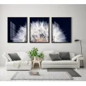 "Trio dente de leão preto" Conjunto de quadros decorativos