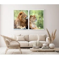 "Casal de leões" Conjunto de quadros decorativos