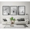 "Dente de leão Preto&Branco" Conjunto de quadros decorativos