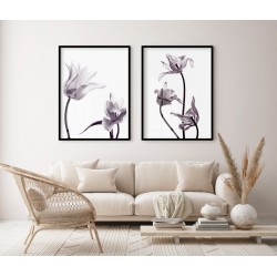 "Flores raio x" Conjunto de quadros decorativos