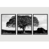 "Trio árvore da vida" Conjunto de quadros decorativos