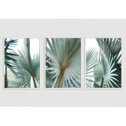 "Trio palmeira natural" Conjunto de quadros decorativos
