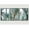 "Trio palmeira natural" Conjunto de quadros decorativos