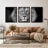 "Trio leão" Conjunto de quadros decorativos