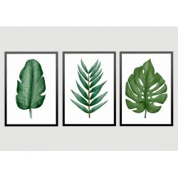 "Trio folhas" Conjunto de quadros decorativos